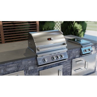 Whistler Burford 3 BBQ | 3 Burner Built-In Gas BBQ Grill Head