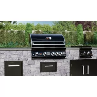 Whistler Burford 4 BBQ | 4 Burner Built-In Gas BBQ Grill Head