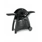 Weber Q300/Q3000 Series Spare Parts