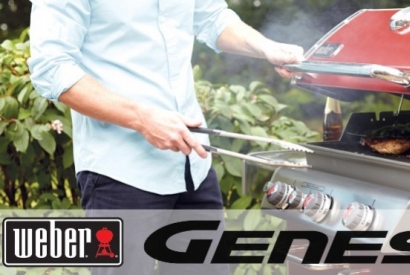 Weber Genesis Barbecue Comparison Review | Weber Genesis E310 vs E330 vs S330